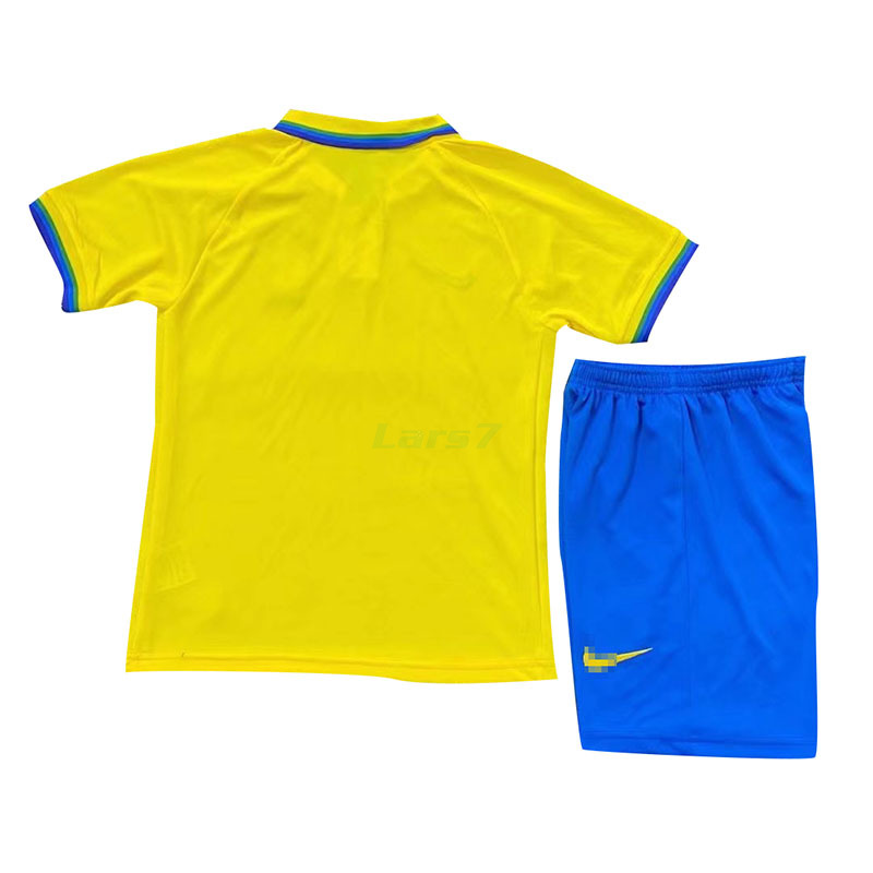 camiseta bahia brasil