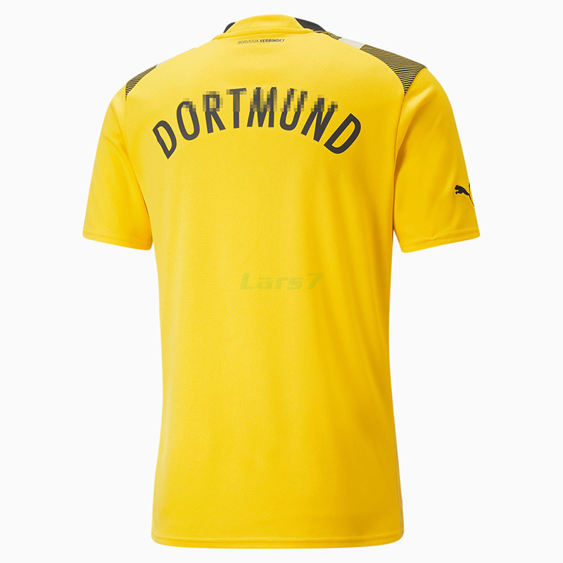 equipacion de borussia dortmund 17