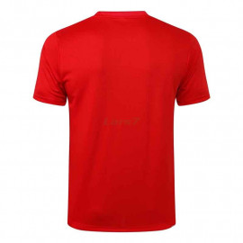 Camiseta de Entrenamiento PSG 2021/2022 Jordan Rojo