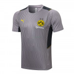 Camiseta De Entrenamiento Dortmund 2021/2022 Gris Claro