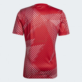 Camiseta Japón 2022 Pre-Match Rojo/Blanco