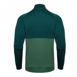 Chaqueta Palmeiras 2022/2023 Cuello Alto Verde