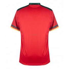Camiseta Cameroon 3ª Equipación 2022 Mundial