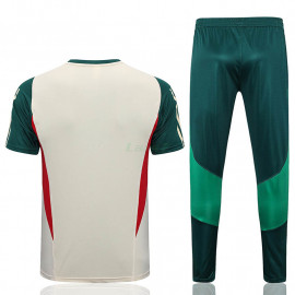 Camiseta de Entrenamiento México 2022 Beige/Verde