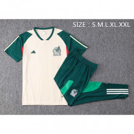 Camiseta de Entrenamiento México 2022 Beige/Verde