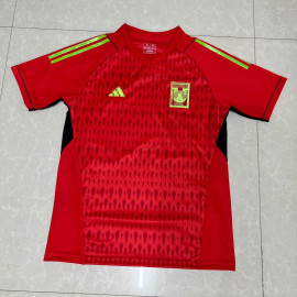 Camiseta de Portero Tigres UANL 2023/2024 Rojo