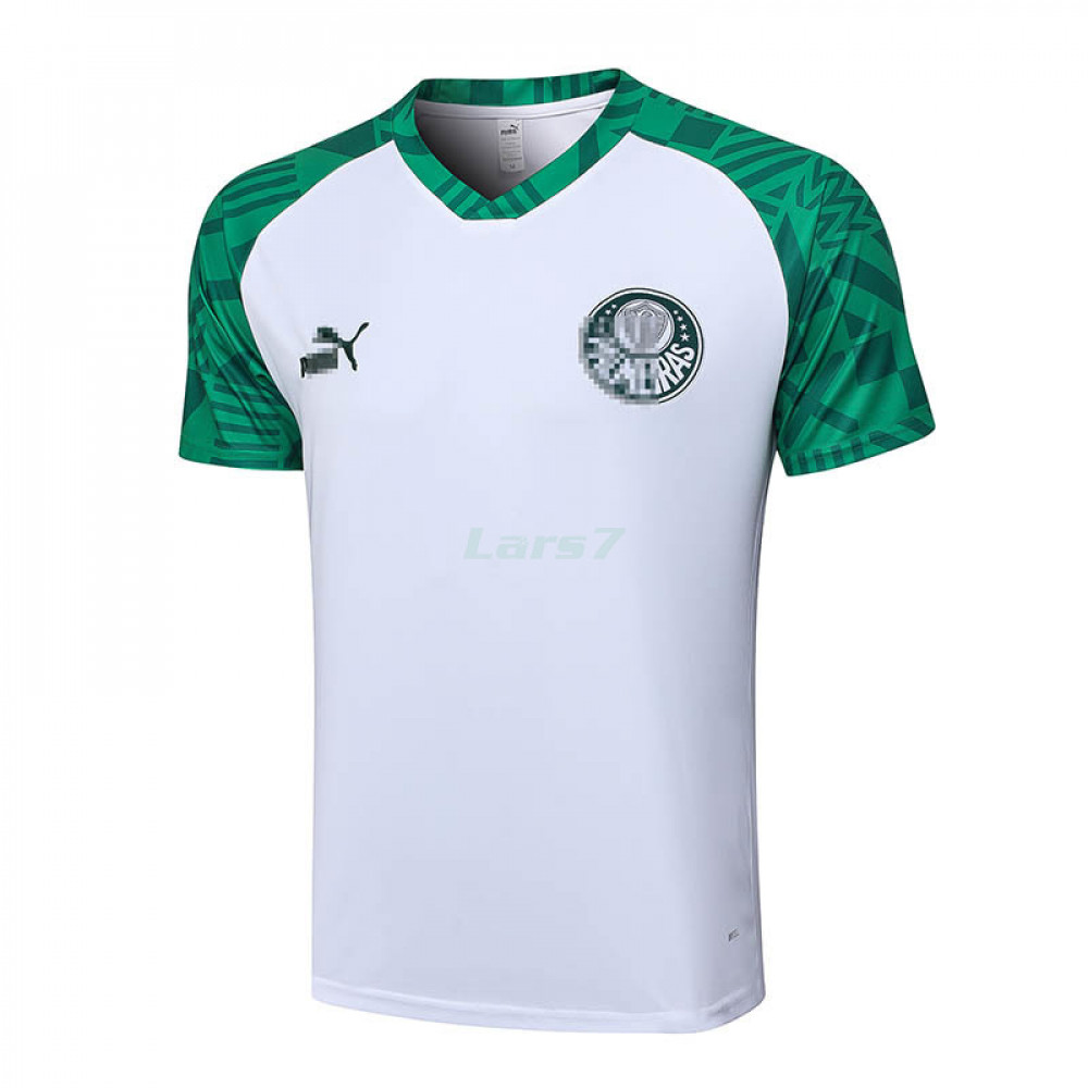 Camiseta de Entrenamiento Senegal 2023-2024 Verde