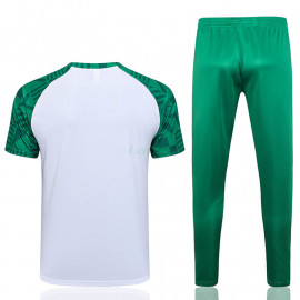 Camiseta de Entrenamiento Palmeiras 2023/2024 Blanco/Verde