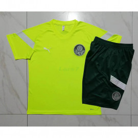 Camiseta de Entrenamiento Palmeiras 2023/2024 Verde Fluorescente