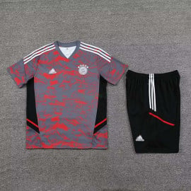 Camiseta de Entrenamiento Bayern Múnich 2023/2024 Gris/Rojo