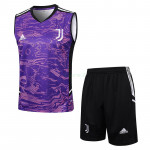 Camiseta de Entrenamiento Juventus Sin Mangas 2023/2024 Kit Morado