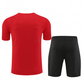 Camiseta de Entrenamiento Arsenal 2023/2024 Rojo