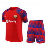 Camiseta de Entrenamiento Barcelona 2023/2024 Kit Rojo/Azul