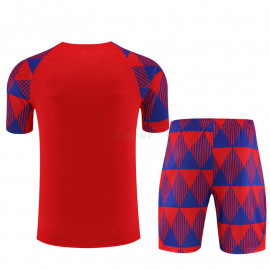 Camiseta de Entrenamiento Barcelona 2023/2024 Rojo/Azul