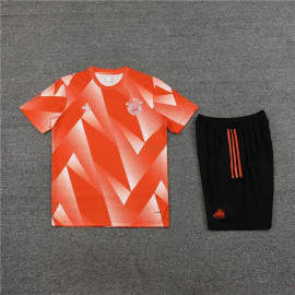 Camiseta de Entrenamiento Bayern Múnich 2023/2024 Kit Naranja