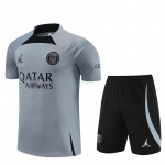 Camiseta de Entrenamiento PSG 2023/2024 Kit Gris