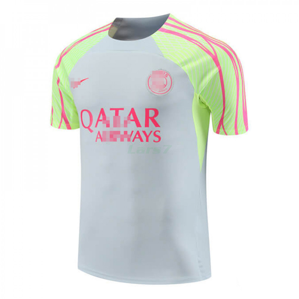 Camiseta de Entrenamiento PSG 2023/2024 Gris Claro/Verde