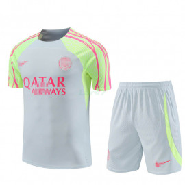 Camiseta de Entrenamiento PSG 2023/2024 Gris Claro/Verde