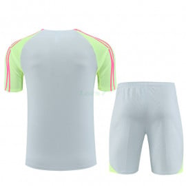 Camiseta de Entrenamiento PSG 2023/2024 Kit Gris Claro/Verde
