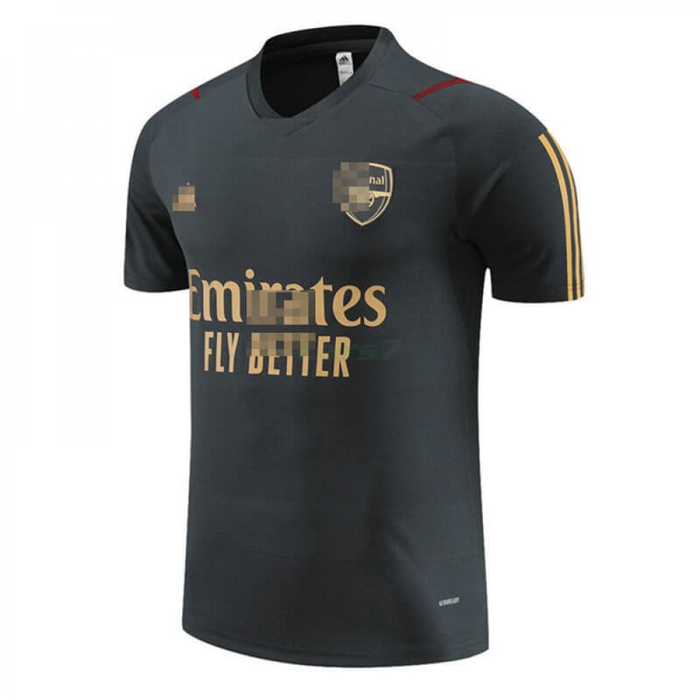Camiseta de Entrenamiento Arsenal 2023/2024 Gris Oscuro