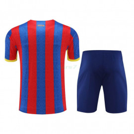 Camiseta de Entrenamiento Barcelona 2023/2024 Rojo/Azul/Amarillo