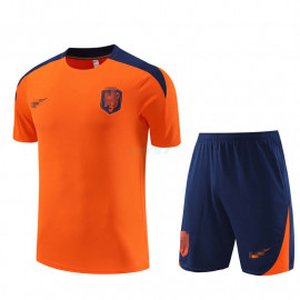 Camiseta de Entrenamiento Holanda 2023 Naranja