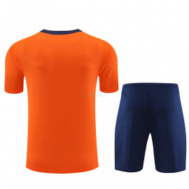 Camiseta de Entrenamiento Holanda 2023 Naranja