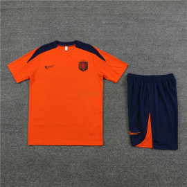 Camiseta de Entrenamiento Holanda 2023 Naranja