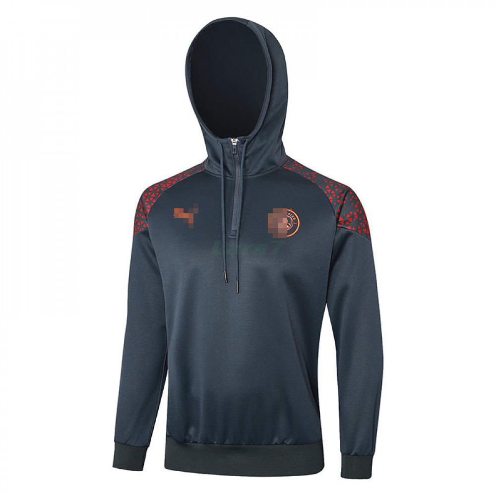 Sudadera de Entrenamiento Manchester City 2023/2024 Con Capucha Gris