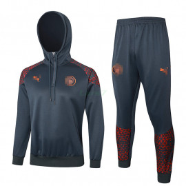 Sudadera de Entrenamiento Manchester City 2023/2024 Con Capucha Gris