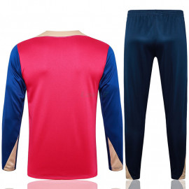 Sudadera de Entrenamiento Barcelona 2024/2025 Kit Rojo/Azul/Dorado