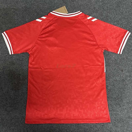 Camiseta Dinamarca 1ª Equipación 2024