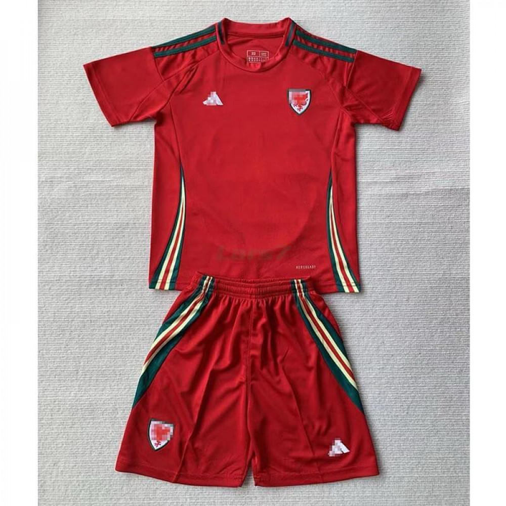 Camiseta Gales 1ª Equipación 2024 Niño Kit