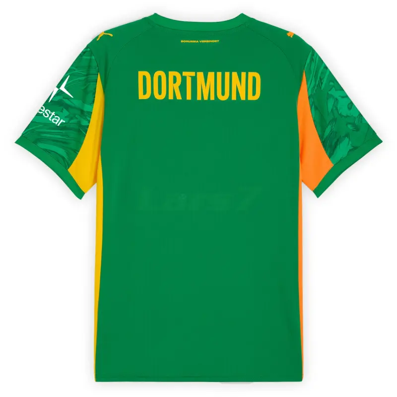 Camiseta de Portero Borussia Dortmund 2025/2026 Verde