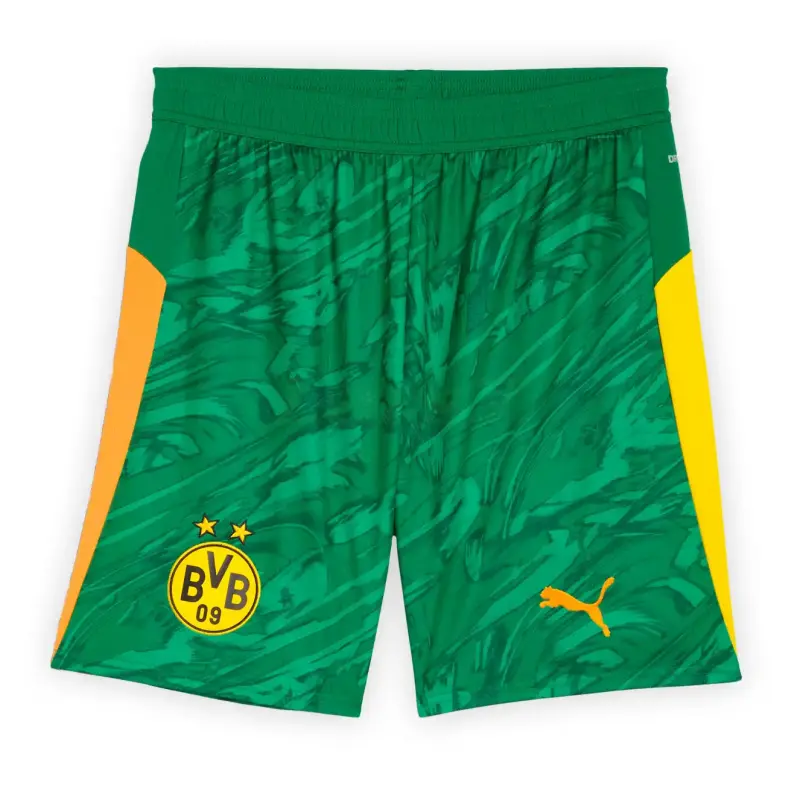 Camiseta de Portero Borussia Dortmund 2025/2026 Verde