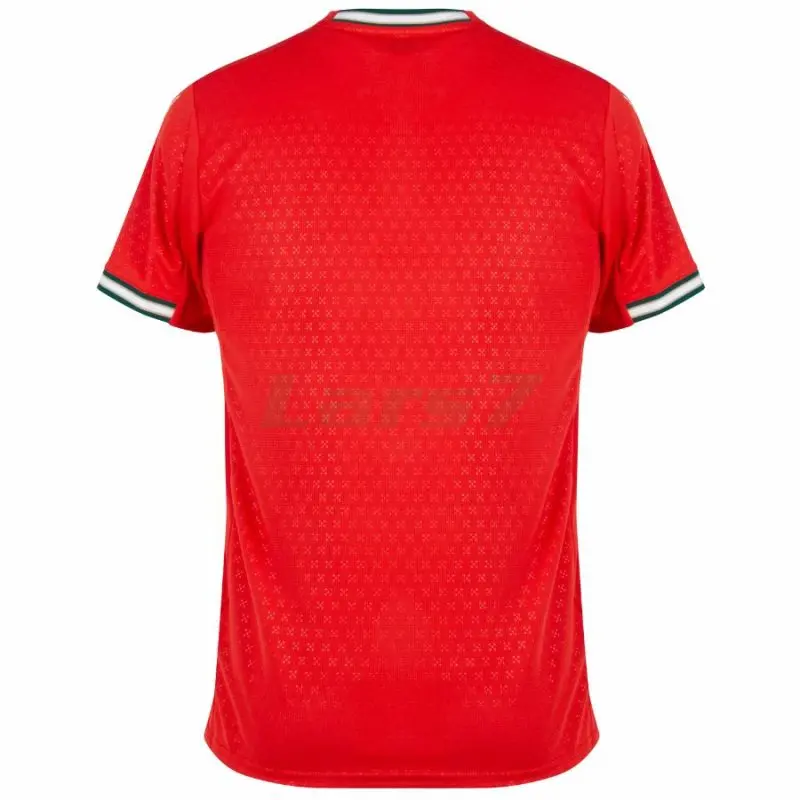 Camiseta Portugal 1ª Equipación 2026 Rojo Mujer