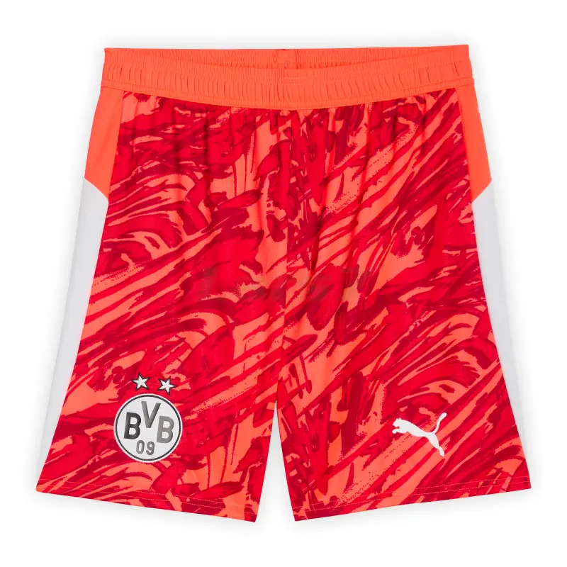 Camiseta de Portero Borussia Dortmund 2025/2026 Naranja