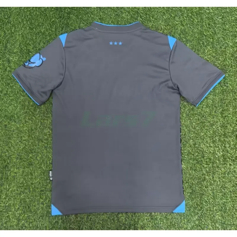 Camiseta Ipswich Town 3ª Equipación 2025/2026 Gris/Azul Claro