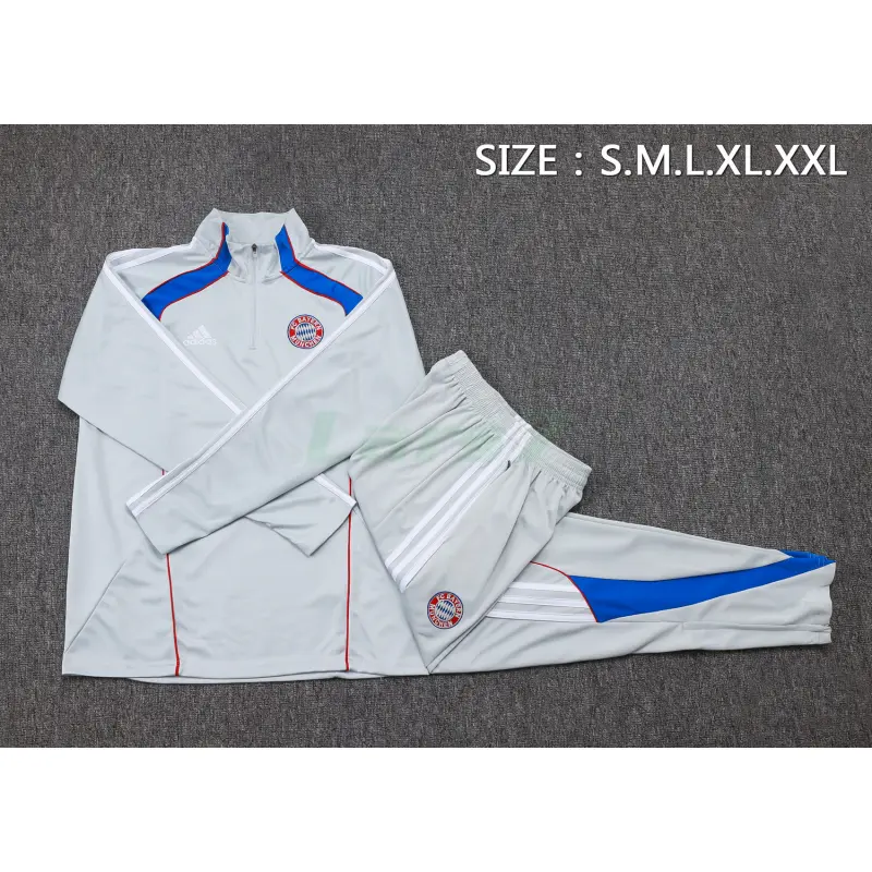 Sudadera De Entrenamiento Bayern Múnich 2025/26 Kit Retro Gris Claro/Azul
