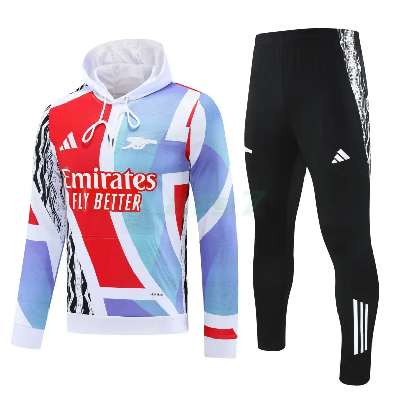 Sudadera de Entrenamiento Arsenal 2025/2026 con Capucha Kit Multicolor