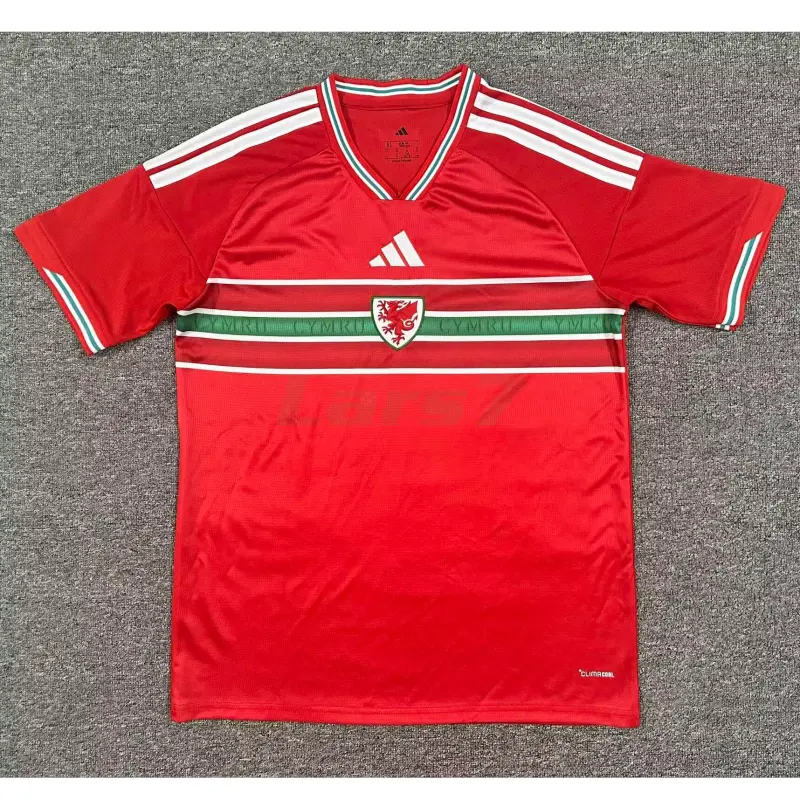 Camiseta Gales 1ª Equipación Mundial 2026 Rojo