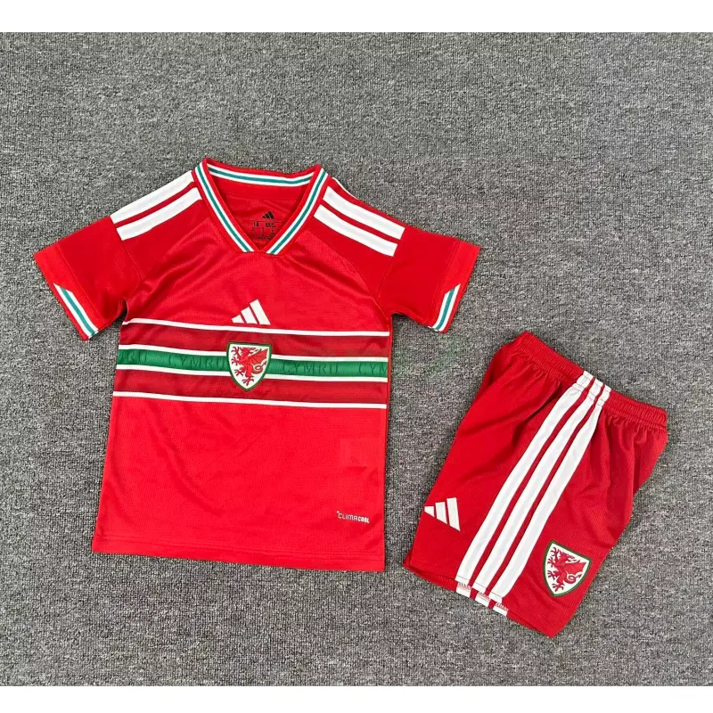 Camiseta Gales 1ª Equipación Mundial 2026 Rojo Niño Kit