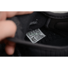 Adidas Yeezy 350  V2 “Antlia” Negro